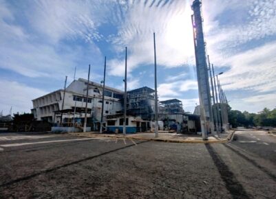 Auditoría para la determinación de las curvas de calor Planta ACAJUTLA de VAPOR y GAS