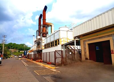 Auditoría para la determinación de las curvas de calor Planta BOREALIS